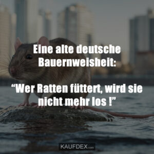 Eine alte deutsche Bauernweisheit: “Wer Ratten füttert, wird sie nicht mehr los !”