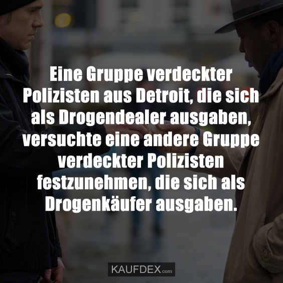 Eine Gruppe verdeckter Polizisten aus Detroit, die sich als Drogendealer ausgaben, versuchte eine andere Gruppe verdeckter Polizisten festzunehmen, die sich als Drogenkäufer ausgaben.