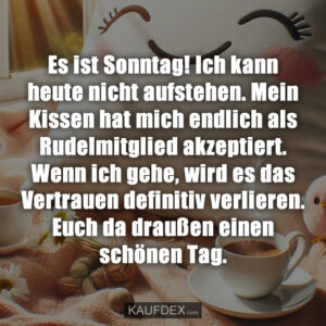 Es ist Sonntag! Ich kann heute nicht aufstehen. Mein Kissen hat mich endlich als Rudelmitglied akzeptiert. Wenn ich gehe, wird es das Vertrauen definitiv verlieren. Euch da draußen einen schönen Tag.