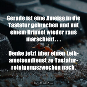 Gerade ist eine Ameise in die Tastatur gekrochen und mit einem Krümel wieder raus marschiert... Denke jetzt über einen Leihameisendienst zu Tastaturreinigungszwecken nach.