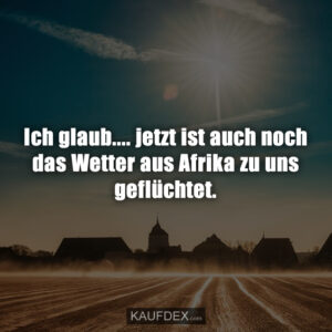 Ich glaub.... jetzt ist auch noch das Wetter aus Afrika zu uns geflüchtet.