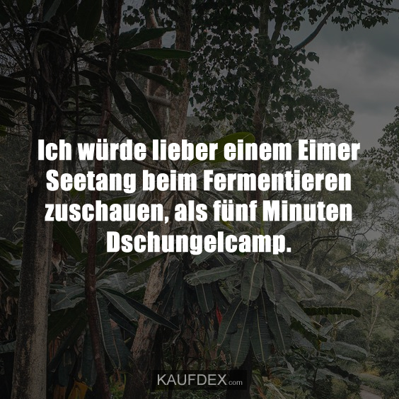 Ich würde lieber einem Eimer Seetang beim Fermentieren zuschauen, als fünf Minuten Dschungelcamp.