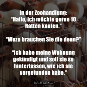 In der Zoohandlung: “Hallo, ich möchte gerne 10 Ratten kaufen.” “Wozu brauchen Sie die denn?” “Ich habe meine Wohnung gekündigt und soll sie so hinterlassen, wie ich sie vorgefunden habe.”