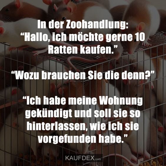 In der Zoohandlung: “Hallo, ich möchte gerne 10 Ratten kaufen.” “Wozu brauchen Sie die denn?” “Ich habe meine Wohnung gekündigt und soll sie so hinterlassen, wie ich sie vorgefunden habe.”