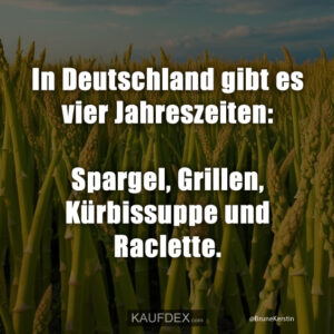In Deutschland gibt es vier Jahreszeiten: Spargel, Grillen, Kürbissuppe und Raclette.