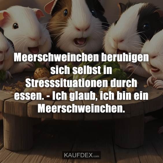 Meerschweinchen beruhigen sich selbst in Stresssituationen durch essen. - Ich glaub, ich bin ein Meerschweinchen.