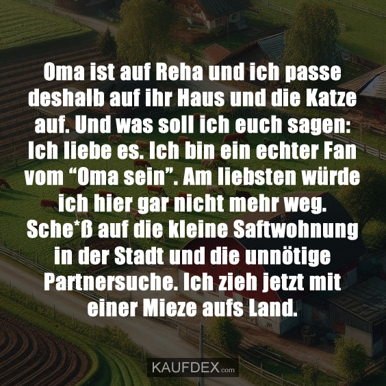 Oma ist auf Reha und ich passe deshalb auf ihr Haus und die Katze auf. Und was soll ich euch sagen: Ich liebe es. Ich bin ein echter Fan vom “Oma sein”. Am liebsten würde ich hier gar nicht mehr weg. Sche*ß auf die kleine Saftwohnung in der Stadt und die unnötige Partnersuche. Ich zieh jetzt mit einer Mieze aufs Land.