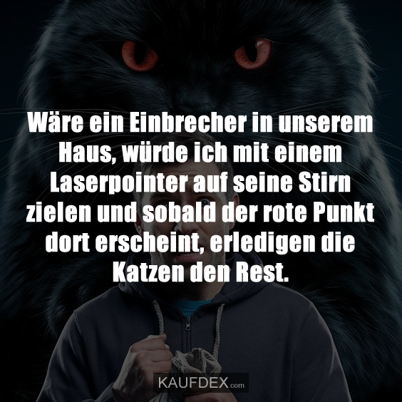 Wäre ein Einbrecher in unserem Haus…