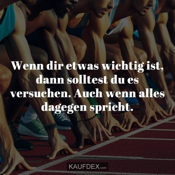 Wenn dir etwas wichtig ist, dann solltest du es versuchen. Auch wenn alles dagegen spricht.