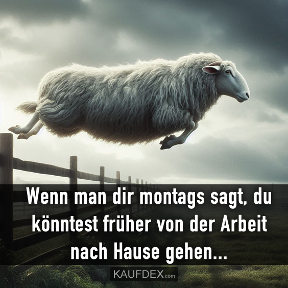 Wenn man dir montags sagt…
