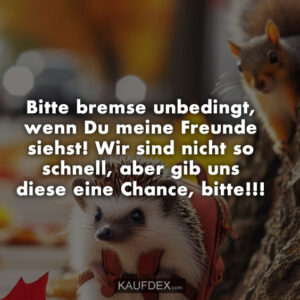 Bitte bremse unbedingt, wenn Du meine Freunde siehst! Wir sind nicht so schnell, aber gib uns diese eine Chance, bitte!!!
