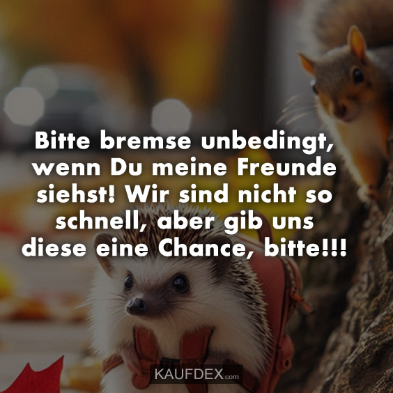 Bitte bremse unbedingt, wenn Du meine Freunde siehst! Wir sind nicht so schnell, aber gib uns diese eine Chance, bitte!!!