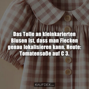 Das Tolle an kleinkarierten Blusen ist, dass man Flecken genau lokalisieren kann. Heute: Tomatensoße auf C 3.