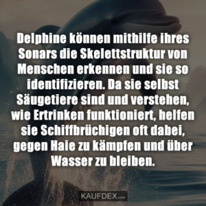 Delphine können mithilfe ihres Sonars die Skelettstruktur von Menschen erkennen und sie so identifizieren. Da sie selbst Säugetiere sind und verstehen, wie Ertrinken funktioniert, helfen sie Schiffbrüchigen oft dabei, gegen Haie zu kämpfen und über Wasser zu bleiben.