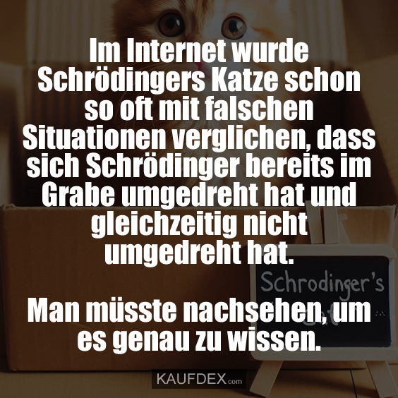 Im Internet wurde Schrödingers Katze schon so oft mit falschen Situationen verglichen, dass sich Schrödinger bereits im Grabe umgedreht hat und gleichzeitig nicht umgedreht hat. Man müsste nachsehen, um es genau zu wissen.