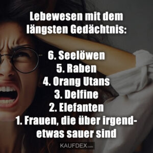 Lebewesen mit dem längsten Gedächtnis: 6. Seelöwen 5. Raben 4. Orang Utans 3. Delfine 2. Elefanten 1. Frauen, die über irgendetwas sauer sind.