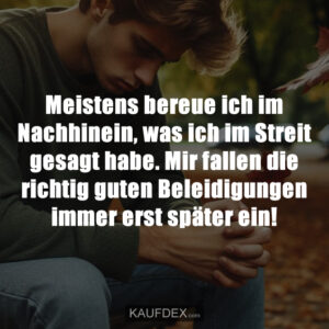 Meistens bereue ich im Nachhinein, was ich im Streit gesagt habe. Mir fallen die richtig guten Beleidigungen immer erst später ein!