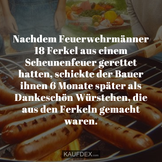 Nachdem Feuerwehrmänner 18 Ferkel aus einem…