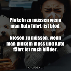 Pinkeln zu müssen wenn man Auto fährt, ist blöd. Niesen zu müssen, wenn man pinkeln muss und Auto fährt ist noch blöder.