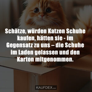 Schätze, würden Katzen Schuhe kaufen, hätten sie - im Gegensatz zu uns – die Schuhe im Laden gelassen und den Karton mitgenommen.