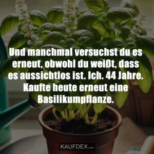 Und manchmal versuchst du es erneut, obwohl du weißt, dass es aussichtlos ist. Ich. 44 Jahre. Kaufte heute erneut eine Basilikumpflanze.