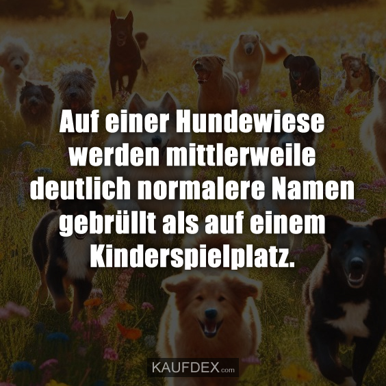Auf einer Hundewiese werden mittlerweile deutlich normalere Namen gebrüllt als auf einem Kinderspielplatz.
