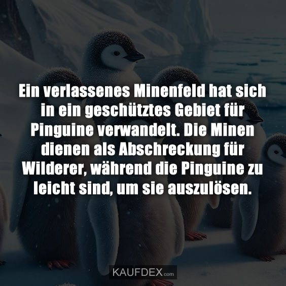 Ein verlassenes Minenfeld hat sich in ein geschütztes Gebiet für Pinguine verwandelt. Die Minen dienen als Abschreckung für Wilderer, während die Pinguine zu leicht sind, um sie auszulösen.