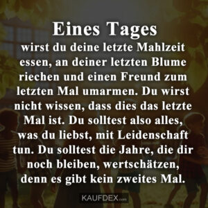 Eines Tages wirst du deine letzte Mahlzeit essen, an deiner letzten Blume riechen und einen Freund zum letzten Mal umarmen. Du wirst nicht wissen, dass dies das letzte Mal ist. Du solltest also alles, was du liebst, mit Leidenschaft tun. Du solltest die Jahre, die dir noch bleiben, wertschätzen, denn es gibt kein zweites Mal.