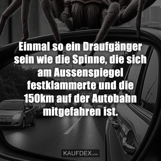Einmal so ein Draufgänger sein wie die Spinne, die sich am Aussenspiegel festklammerte und die 150km auf der Autobahn mitgefahren ist.