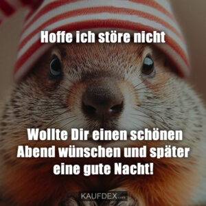 Hoffe ich störe nicht. Wollte Dir einen schönen Abend wünschen und später eine gute Nacht!