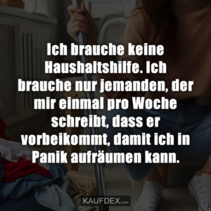 Ich brauche keine Haushaltshilfe. Ich brauche nur jemanden, der mir einmal pro Woche schreibt, dass er vorbeikommt, damit ich in Panik aufräumen kann.
