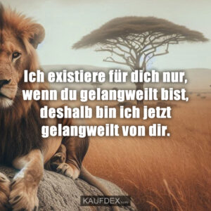 Ich existiere für dich nur, wenn du gelangweilt bist, deshalb bin ich jetzt gelangweilt von dir.
