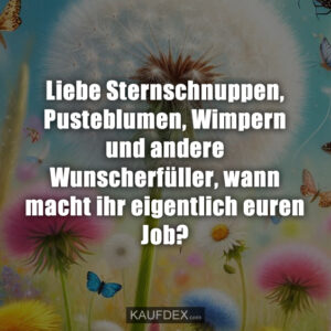 Liebe Sternschnuppen, Pusteblumen, Wimpern und andere Wunscherfüller, wann macht ihr eigentlich euren Job?