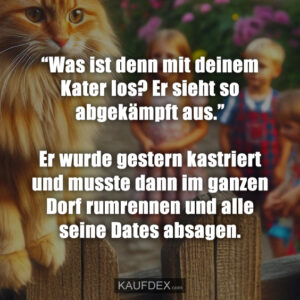 “Was ist denn mit deinem Kater los? Er sieht so abgekämpft aus.” Er wurde gestern kastriert und musste dann im ganzen Dorf rumrennen und alle seine Dates absagen.