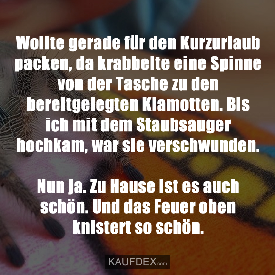 Wollte gerade für den Kurzurlaub packen, da krabbelte eine Spinne von der Tasche zu den bereitgelegten Klamotten. Bis ich mit dem Staubsauger hochkam, war sie verschwunden. Nun ja. Zu Hause ist es auch schön. Und das Feuer oben knistert so schön.