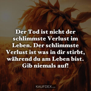 Der Tod ist nicht der schlimmste Verlust im Leben. Der schlimmste Verlust ist was in dir stirbt, während du am Leben bist. Gib niemals auf!