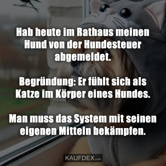 Hab heute im Rathaus meinen Hund von der Hundesteuer…
