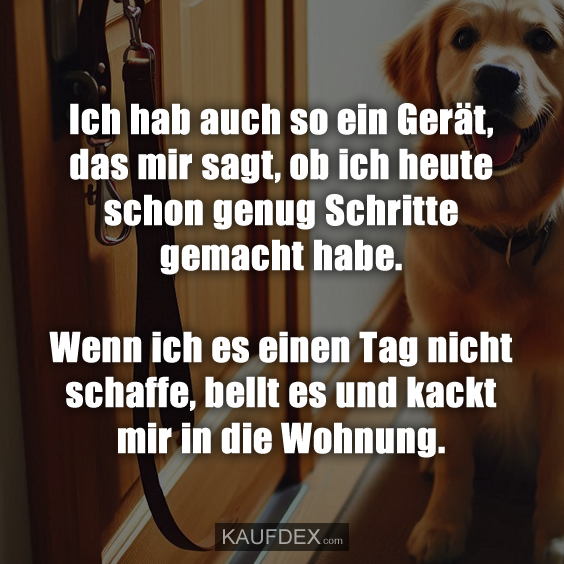 Ich hab auch so ein Gerät, das mir sagt, ob ich heute schon genug Schritte gemacht habe. Wenn ich es einen Tag nicht schaffe, bellt es und kackt mir in die Wohnung.