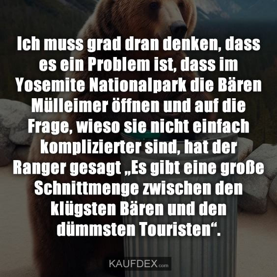 Ich muss grad dran denken, dass es ein Problem ist, dass im Yosemite Nationalpark die Bären Mülleimer öffnen und auf die Frage, wieso sie nicht einfach komplizierter sind, hat der Ranger gesagt „Es gibt eine große Schnittmenge zwischen den klügsten Bären und den dümmsten Touristen“.