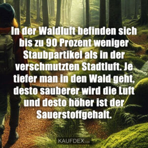 In der Waldluft befinden sich bis zu 90 Prozent weniger Staubpartikel als in der verschmutzten Stadtluft. Je tiefer man in den Wald geht, desto sauberer wird die Luft und desto höher ist der Sauerstoffgehalt.