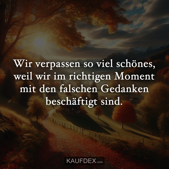 Wir verpassen so viel schönes, weil wir im richtigen…