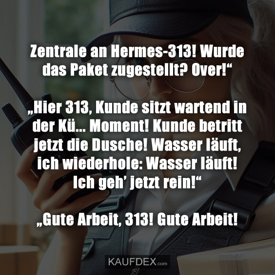 Zentrale an Hermes-313! Wurde das Paket zugestellt?
