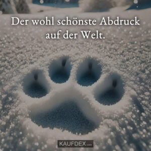 Der wohl schönste Abdruck auf der Welt.