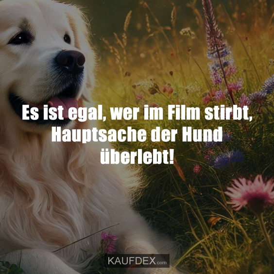 Es ist egal, wer im Film stirbt, Hauptsache der Hund überlebt!
