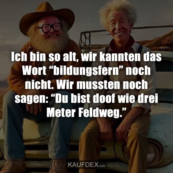 Ich bin so alt, wir kannten das Wort “bildungsfern” noch nicht. Wir mussten noch sagen: “Du bist doof wie drei Meter Feldweg.”