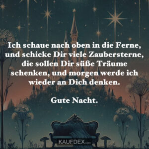 Ich schaue nach oben in die Ferne, und schicke Dir viele Zaubersterne, die sollen Dir süße Träume schenken, und morgen werde ich wieder an Dich denken. Gute Nacht.
