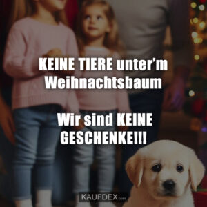 KEINE TIERE unter'm Weihnachtsbaum! Wir sind KEINE GESCHENKE!!!