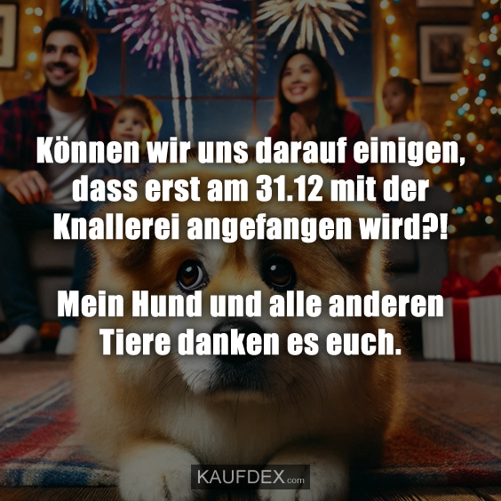 Können wir uns darauf einigen, dass erst am 31.12 mit der Knallerei angefangen wird?! Mein Hund und alle anderen Tiere danken es euch.