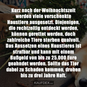 Kurz nach der Weihnachtszeit werden viele verschenkte Haustiere ausgesetzt. Diejenigen, die rechtzeitig entdeckt werden, können gerettet werden, doch zahlreiche Tiere sterben qualvoll. Das Aussetzen eines Haustieres ist strafbar und kann mit einem Bußgeld von bis zu 25.000 Euro geahndet werden. Sollte das Tier dabei zu Schaden kommen, drohen bis zu drei Jahre Haft.