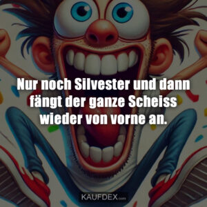 Nur noch Silvester und dann fängt der ganze Scheiss wieder von vorne an.